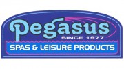 Sundance Spas Dealer